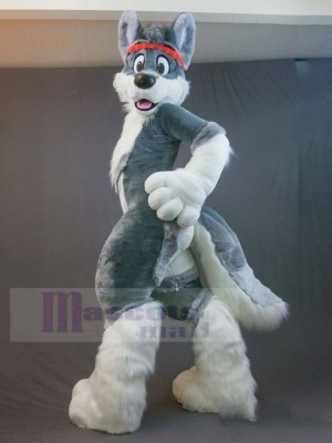Costume de mascotte de Fursuit de chien Husky gris avec bandeau rouge