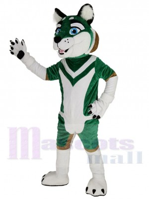 Chien Husky costume de mascotte