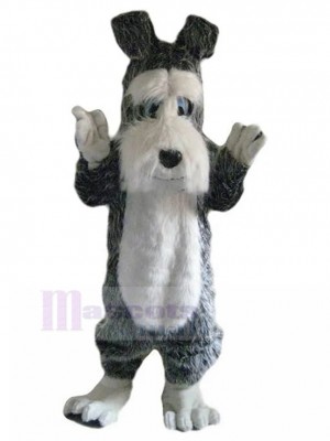 Chien costume de mascotte