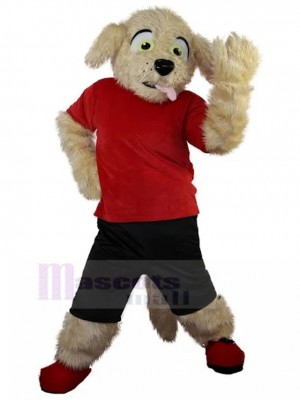 Chien costume de mascotte