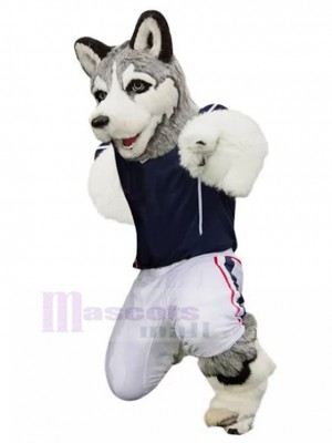 Chien costume de mascotte