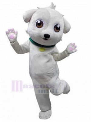 Chien costume de mascotte