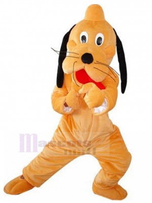 Chien costume de mascotte