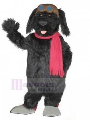 Chien costume de mascotte