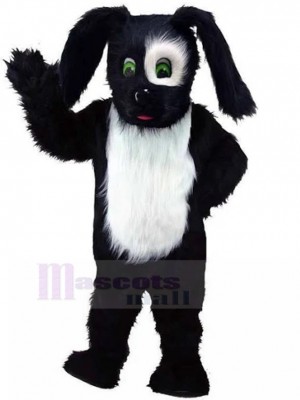 Chien costume de mascotte