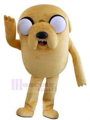 Chien costume de mascotte