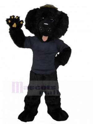 Chien costume de mascotte