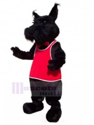 Chien costume de mascotte