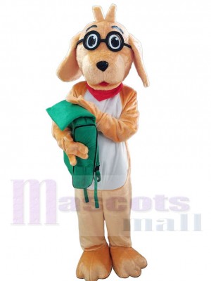 Chien costume de mascotte