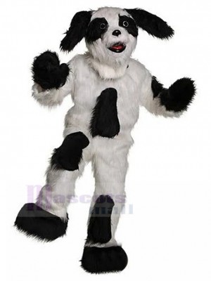 Chien costume de mascotte