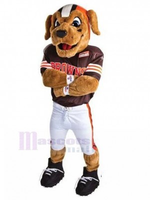 Joyeux chien brun Déguisement de mascotte avec maillot de football américain Animal