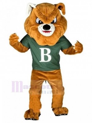Bulldog brun féroce Déguisement Mascotte Animal en T-shirt Vert Céladon