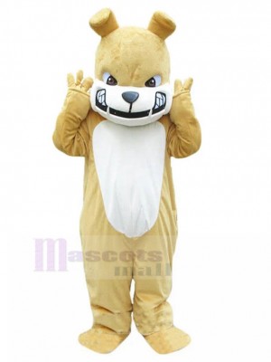 Chien costume de mascotte