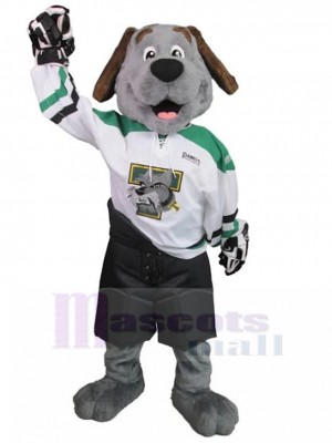 Chien costume de mascotte