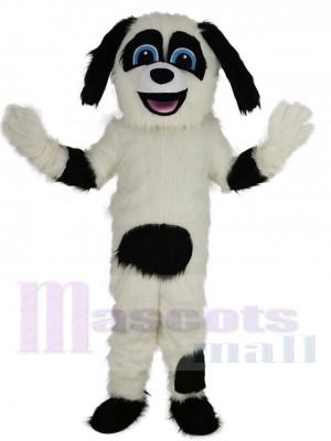 Chien de berger noir et blanc Mascotte Costume Animal aux yeux bleus