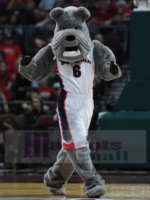 Chien costume de mascotte
