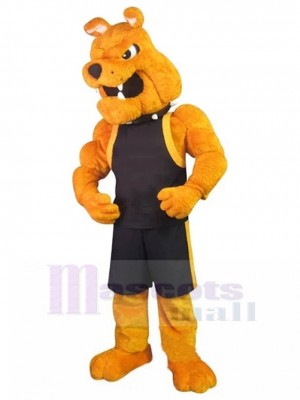Chien costume de mascotte
