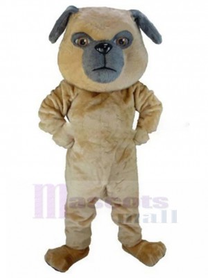 Irrité Carlin Costume de mascotte Animal