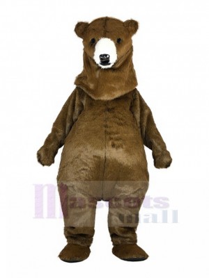 Ours costume de mascotte