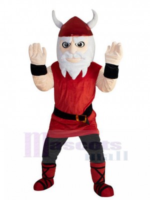 viking costume de mascotte
