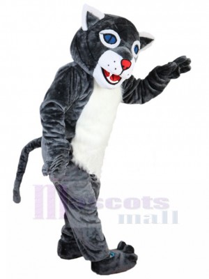 Joyeux Chat Sauvage Gris Costume de mascotte Animal aux yeux bleus