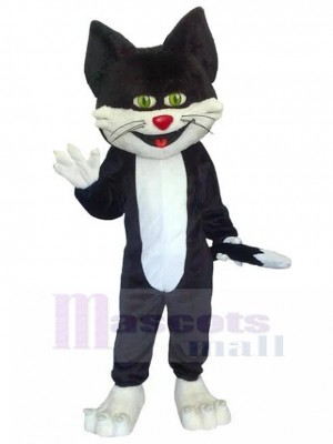 Chat costume de mascotte