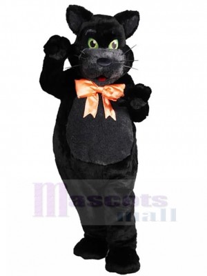 Chat costume de mascotte