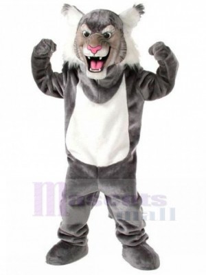 Chat costume de mascotte