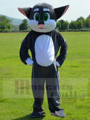 Chat gris et blanc Costume de mascotte au nez rose Animal