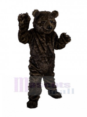 Ours costume de mascotte