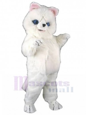 Peluche blanche Chat persan Costume de mascotte Animal