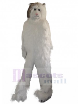 poil long Chat persan blanc Costume de mascotte Animal