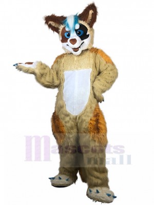 Renard costume de mascotte