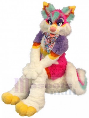 Loup costume de mascotte