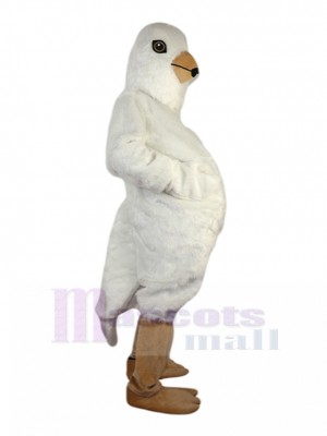 Pigeon costume de mascotte