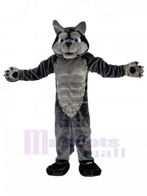 Musclé Loup gris Costume de mascotte Animal