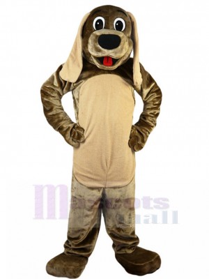 Chien costume de mascotte