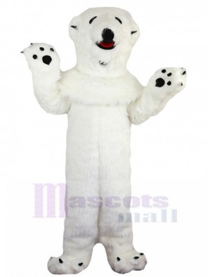 Ours costume de mascotte
