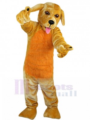 Chien costume de mascotte