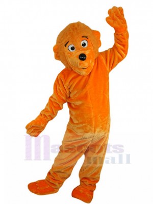 Ours costume de mascotte