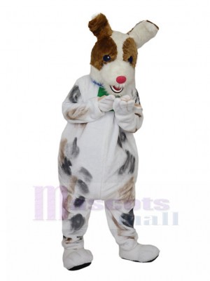 Chien costume de mascotte