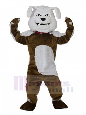 Chien costume de mascotte