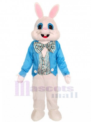 Lapin costume de mascotte