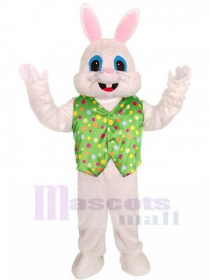Lapin costume de mascotte