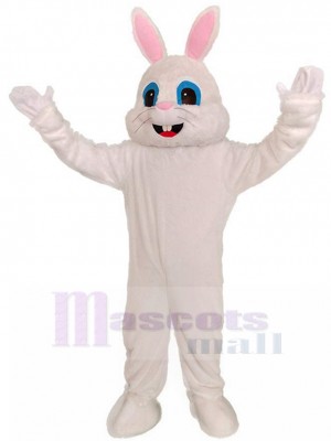 Lapin costume de mascotte