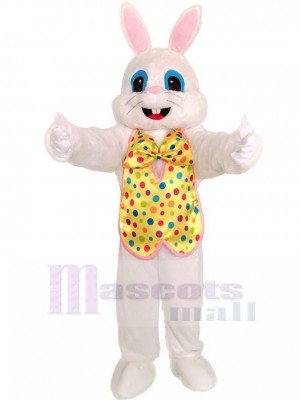 Lapin costume de mascotte