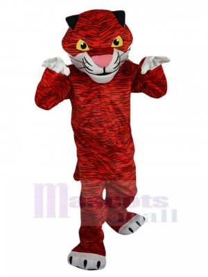 Tigre costume de mascotte