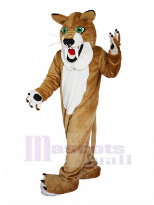 Tigre costume de mascotte