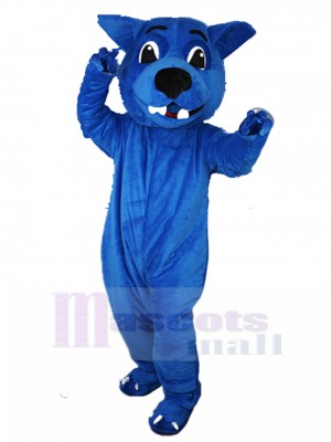 Maladroit Loup bleu Mascotte Costume Animal