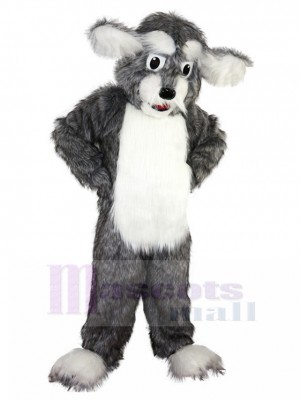 Chien costume de mascotte